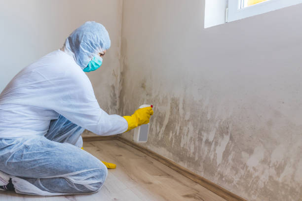 Bathroom Mold Removal assessment in Crocheron bathroom